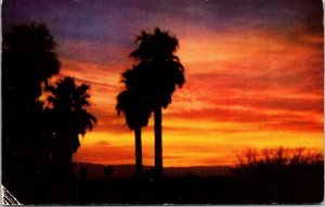 Sundown Southwest Desert Sky Blend Natures Wonderous Beauty Petley Postcard 