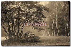 Postcard Old Saint Cloud Park of Study & # 39arbres near the hunting Round