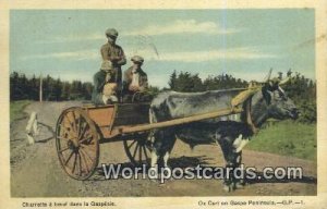 Charrette a boeuf dans la Gaspesie, Ox Cart Gaspe Peninsula Canada 1935 