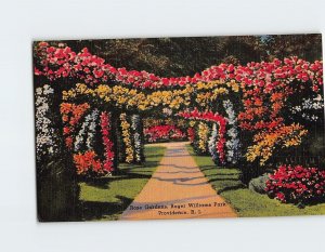 Postcard Rose Gardens Roger Williams Park Providence Rhode Island USA