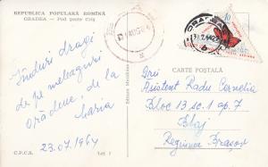 Romania postcard from `60s attractive butterfly stamp Oradea pod peste Cris