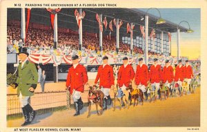 Greyhounds at Florida Dog Track West Flagler Kennel Club, Miami, Florida, USA...