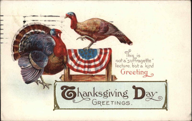 Thanksgiving Turkey Patriotic Pro Women's Suffrage Suffragette Voting Rights PC