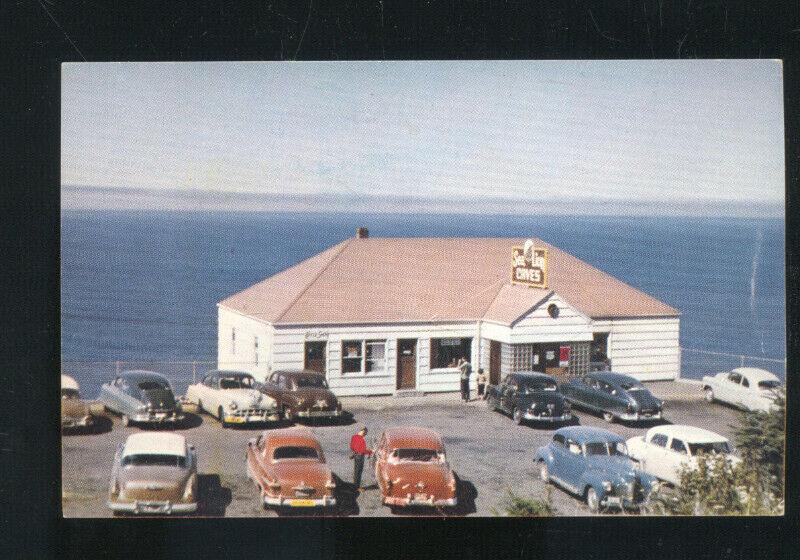 SEA LION CAVES OREGON 1950's CARS VINTAGE ADVERTISING POSTCARD CAVE