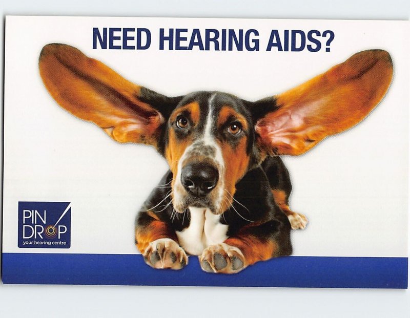Postcard Need Hearing Aids?, Pin Drop, Calgary, Canada