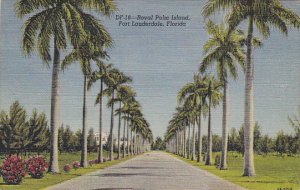 Royal Palm Island Fort Fauderdale Florida 1945 Curteich