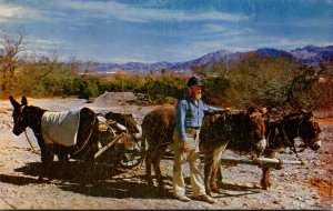 Colorado Old Gold Prospector