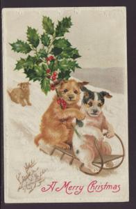 A Merry Christmas,Dogs on Sled Postcard