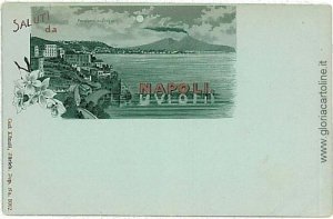 09921 VINTAGE POSTCARD - NAPLES City: GRUSS AUS-