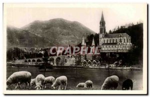 Old Postcard Lourdes Basilica And The Pic du jer Sheep