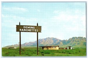 c1960's View Of New Homes Deming Rachettes Deming New Mexico NM Vintage Postcard