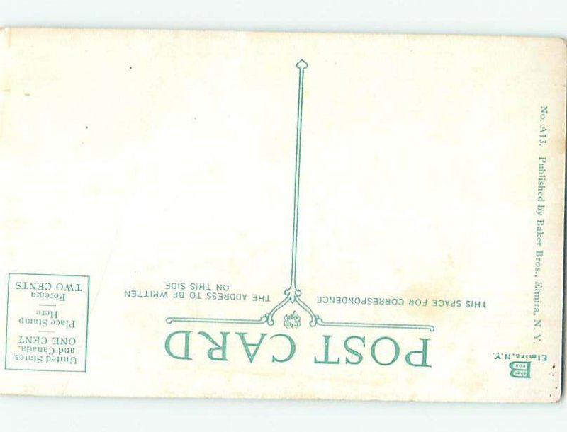 Divided-back PLUTO FALLS Watkins Glen - Near Ithica & Elmira New York NY AD5319