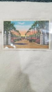 Antique Postcard, Driveway to Clubhouse, Hialeah Park, Miami, Florida