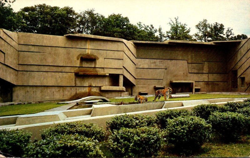 Georgia Atlanta Municipal Zoo The Feline House 1971