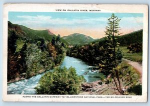 c1920's View In Gallatin River Montana Dirt Road Mountain Grove Vintage Postcard