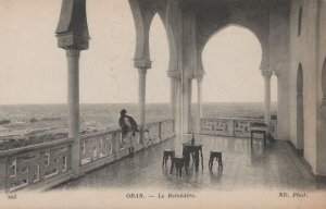 Algeria Postcard - Oran - Le Belvedere     RS22340