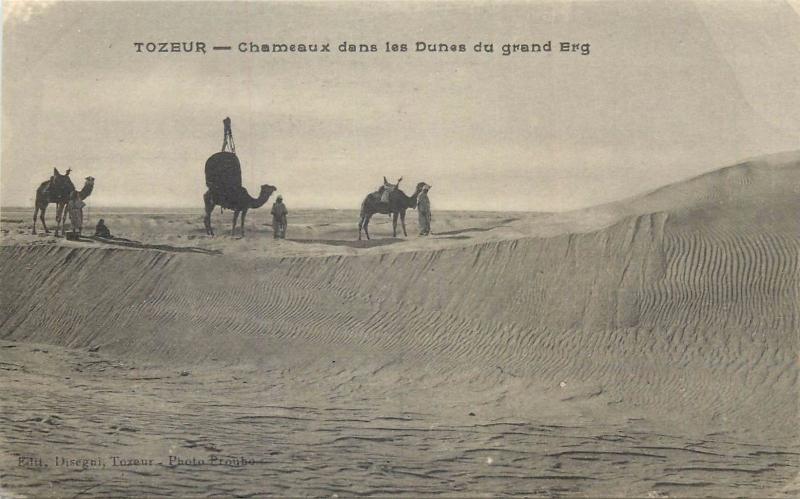 Africa Tunisia TOZEUR camels caravan grand Erg dunes desert