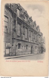 ORLEANS , France, 1900-10s, Musee de peinture (ancien hotel de ville)