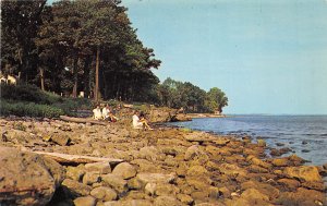 Lakeside Ohio 1950s Postcard Rocky Shore Of Lake Erie