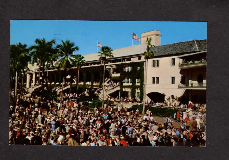 FL Horse Racing Racetrack Hialeah Race Track, Miami Florida Postcard Paddock