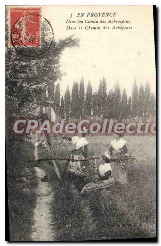 Old Postcard En Provence In the path of aubpines