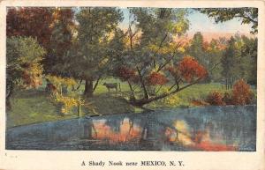 Mexico New York Shady Nook Waterfront Scenic Antique Postcard K25154