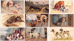 Dogs Animals Breeds Cocker Spaniel Bulldog etc lot of 9 postcards B892