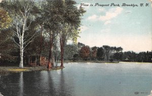 Prospect Park Brooklyn New York City New York 1908 postcard