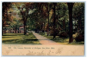 1906 Campus University Michigan Trees Exterior View Ann Arbor Michigan Postcard