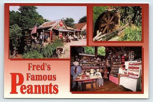 HELEN, Georgia GA ~ Postcard FRED'S FAMOUS PEANUTS White County 4x6 Postcard