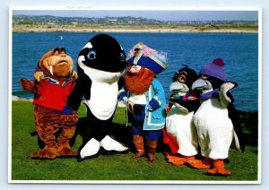 SEA WORLD, San Diego CA ~ SHAMU & CREW Furry Killer Whale 1990 ~ 4x6 Postcard