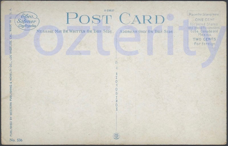 FIELD OF CALLA LILLIES SOUTHERN CALIFORNIA