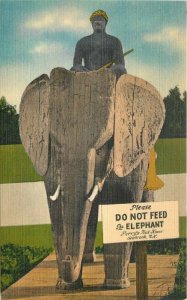 Belfast Maine Perry's Tropical Nut House Roadside Elephant Postcard 21-11912