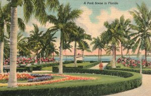 Vintage Postcard 1944 A Park Scene in Florida FL