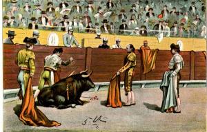 Mexico - Matador and Bull