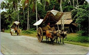 Vtg Malacca Malaya Bullock Carts Malaysia Postcard