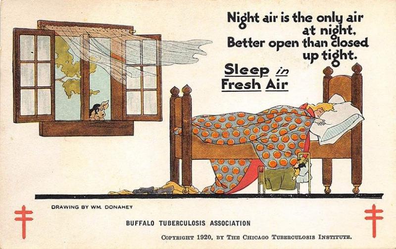 Buffalo NY Tuberculosis Association Wm. Donahey Artist Fresh Air Postcard