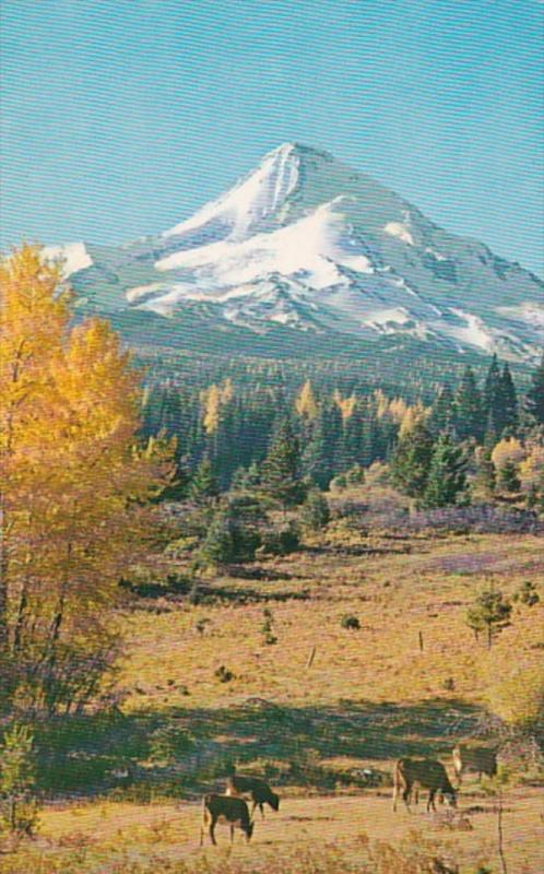 Oregon Mt Hood