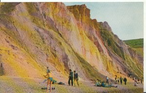 Isle of Wight Postcard - The Coloured Cliffs - Alum Bay - Ref 9116A