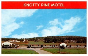 Pennsylvania  Adamstown Knotty Pine Motel