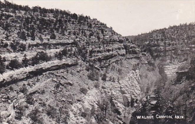 Arizona View Of Walnut Canyon Real Photo