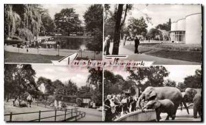 Modern Postcard Duisburg Tierpark Elephant Giraffe