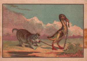 1880-90's Dog Playing with Duck Water Mountain Background Trade Card