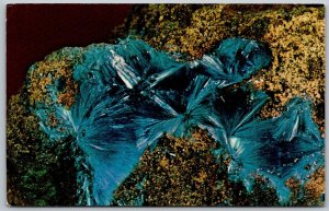 Bisbee Arizona 1960s Postcard Azurite Crystals