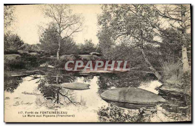 Old Postcard Forest of Fontainebleau La Mare aux Pigeons Franchard