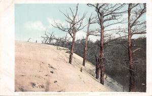 Cape Henry Virginia~Forest Meets Great Sand Dunes~#9150 Detroit Pub Co~1905 PC 