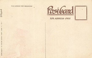 Baseball A Shut Out James Newey Signed Artist Postcard