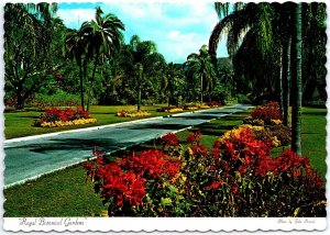 VINTAGE CONTINENTAL SIZE POSTCARD ROYAL BOTANICAL GARDENS AT KINGSTON JAMAICA