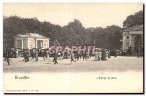 Old Postcard Belgium Brussels The entry of wood