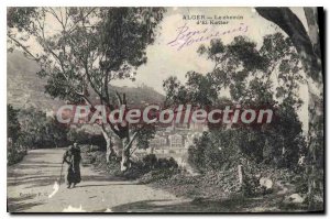 Old Postcard Alger Le Chemin D'El Kattar